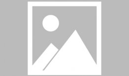 后入大屁股视频